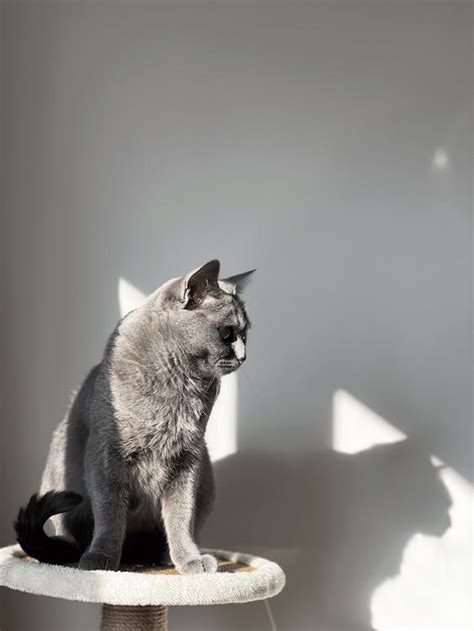 side view  stock photo