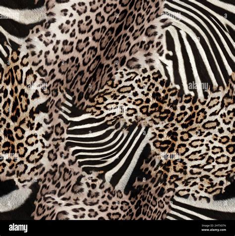 Brindle pattern hi-res stock photography and images - Alamy