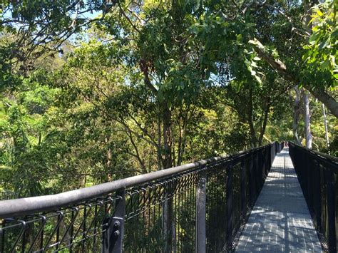 mt tamborine skywalk review  hubert moreno blog