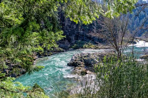 sunlight illuminating river  forest umpqua river oregon usa stock
