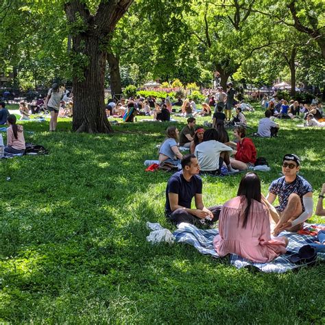 Picnic In Park