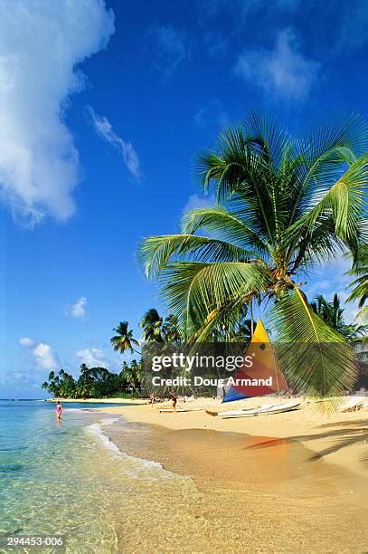 1,896 Barbados Climate Stock Photos, High-Res Pictures, and Images ...