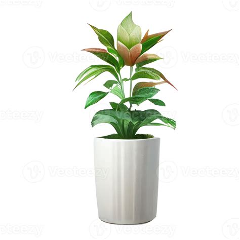 Beautiful plants in ceramic pots . 23357034 PNG