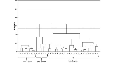 Single Linkage Dendrogram Of The Hierarchical Clustering For Euclidean