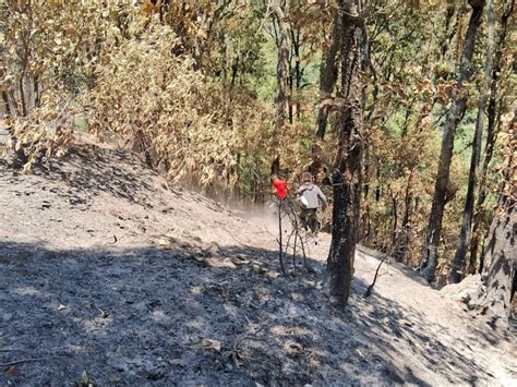 Controlan El Incendio En Coyomeapan A Un 80