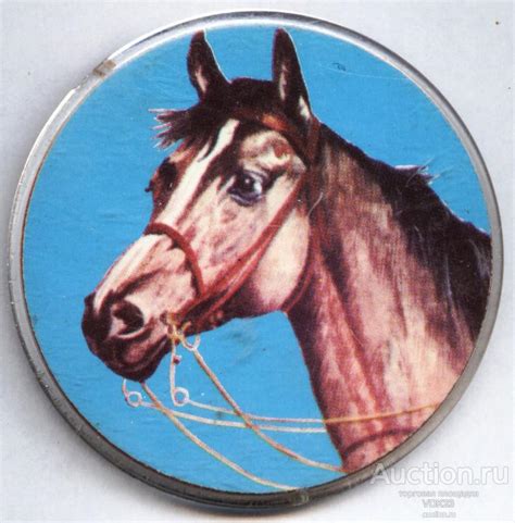 Значок Лошадь Конь Породы — покупайте на Auction.ru по выгодной цене ...