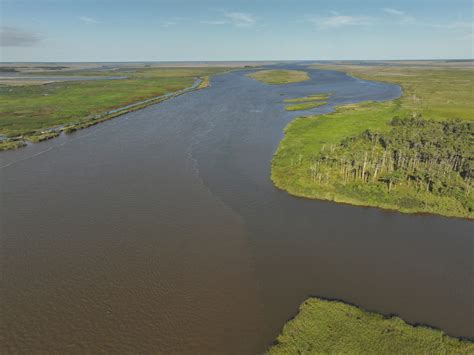 Altamaha The River Basin Center