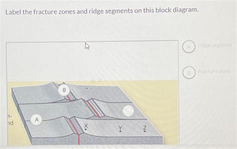 Solved Label the fracture zones and ridge segments on this | Chegg.com