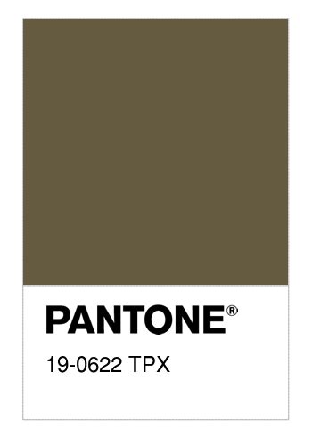 Colore PANTONE 19 0622 TPX Military Olive Numerosamente It