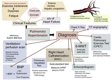 Pulmonary Arterial Hypertension Pathophysiology