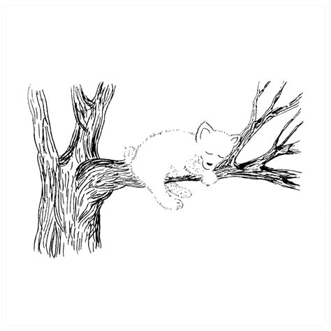 Premium Vector | Bear sleeping, vector sketch. cute bear cub on a tree ...