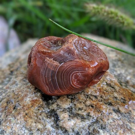 Beautiful Lake Superior Agate Our State Gemstone Rminnesota