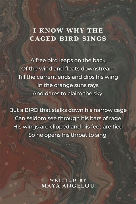 I Know Why The Caged Bird Sings I Know Why The Caged Bird Sings Poem