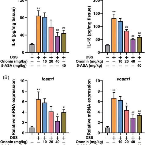 Ononin Suppressed Proinflammatory Cytokine Production And Reduced The