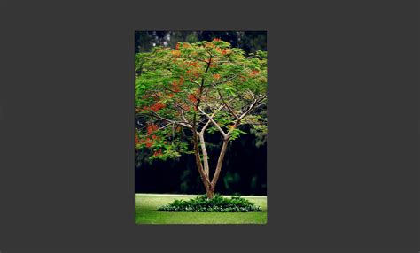 Krissy Taylor Model Official Website — krissytaylor.com