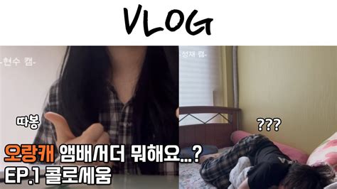 앰배서더진 뭐해요 ㅣ Vlog 마케팅 Pt 대전 대학연합 회식 비하인드 🐧노는 게 젤 좋아💛 대학생 브이로그