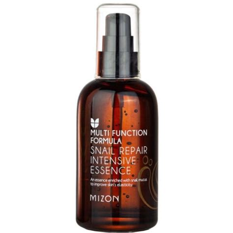 Mizon Snail Repair Intensive Essence Multi Function Formula 100mL : My ...