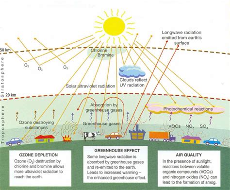 The Effects Of Air Pollutants On Vegetation And The Role Of Vegetation