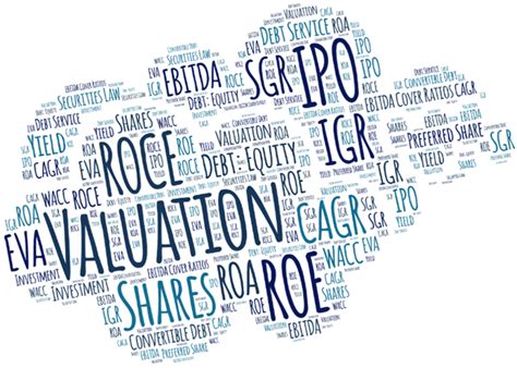 corporate finance eugene van den berg