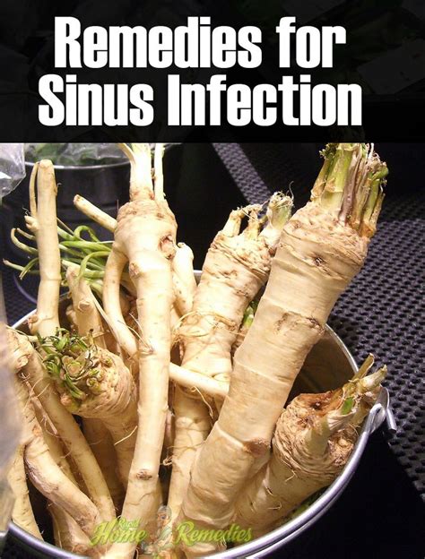 14 Simple Home Remedies For Sinus Infection Fresh Horseradish