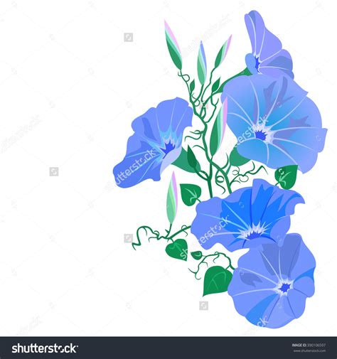 Ipomoea tricolor clipart 19 free Cliparts | Download images on