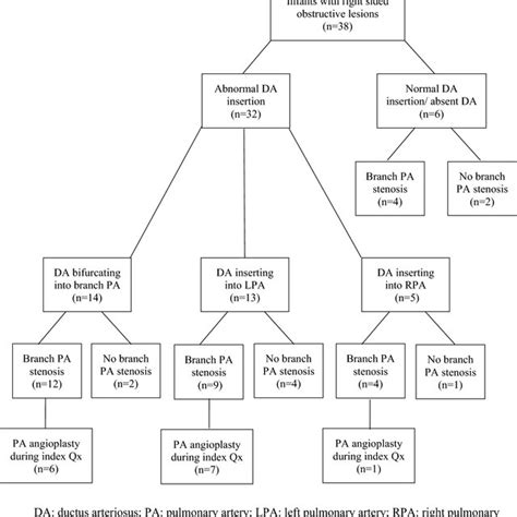 Distribution Of Pulmonary Artery Stenosis Based On Ductus Arteriosus