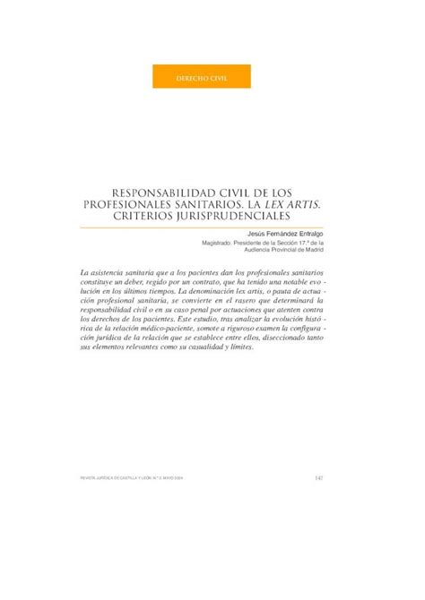 PDF RESPONSABILIDAD CIVIL DE LOS PROFESIONALES SANITARIOS Admini