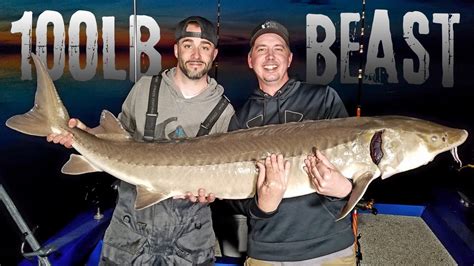 Giant Lake Sturgeon