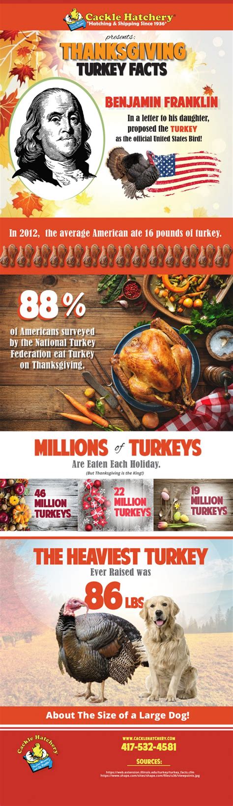 Thanksgiving Turkey Facts: Infographic | Cackle Hatchery