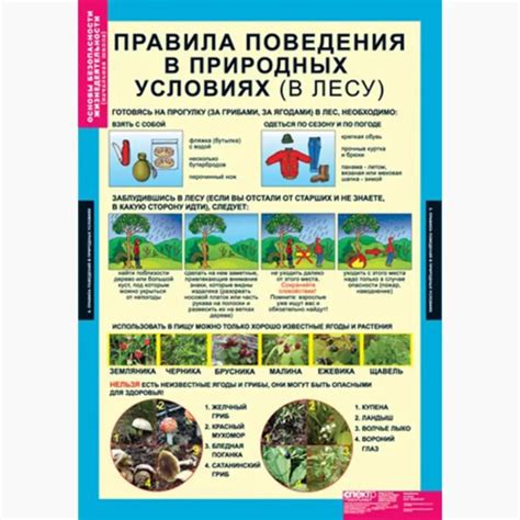 Основы безопасности жизнедеятельности 1-4 классы