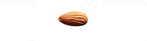 single almond isolated   transparent background  png