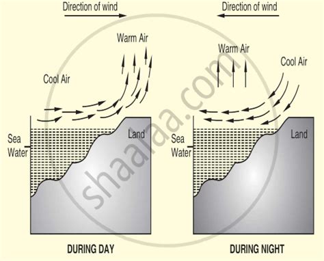 How Are Winds Produced? - Science | Shaalaa.com