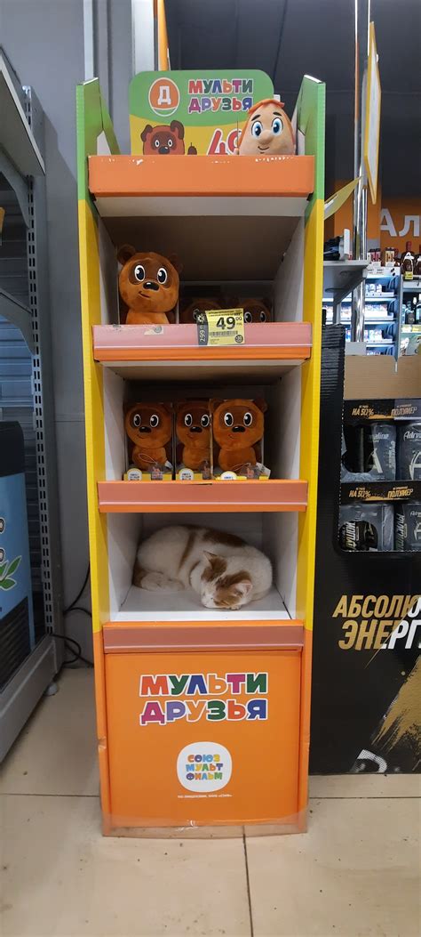 Мультидруг | Пикабу