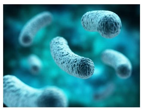 DIFFUSIONE DELLA LEGIONELLA