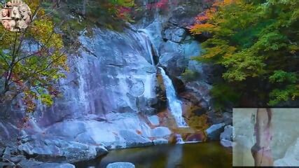 Stress Relief Porn Stress Reliever Relief Stress Videos