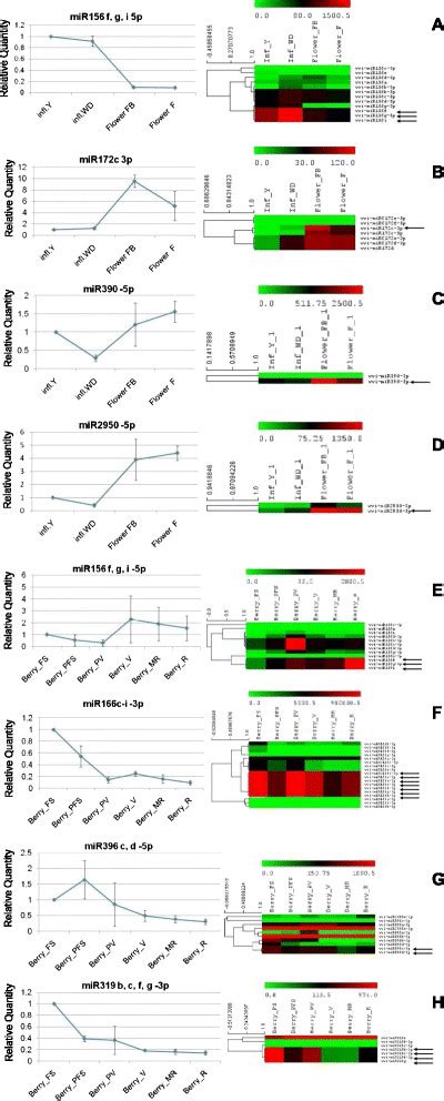 Real Time Pcr Validation Of Deep Sequencing Data Bars Standard Error