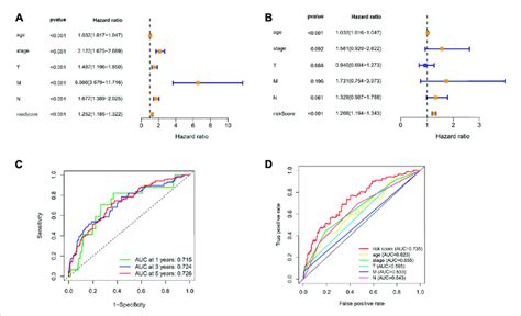 Evaluation Of The Necroptosis Related LncRNAs Prognostic Signature