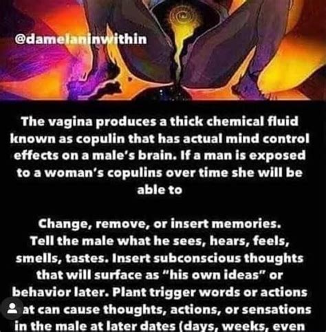 The Vagina Produces A Thick Chemical Fluid Known As Copulin That Has Actual Mind Control Effects