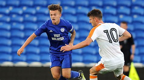 match report cardiff city   hull city cardiff