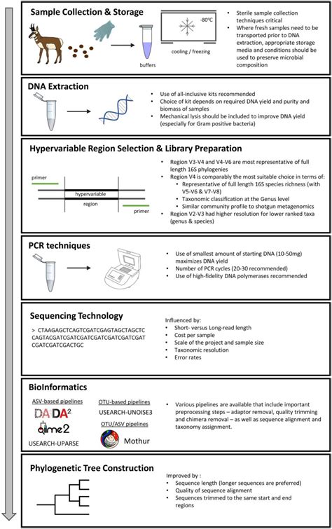 Best Practice For Wildlife Gut Microbiome Research A Comprehensive