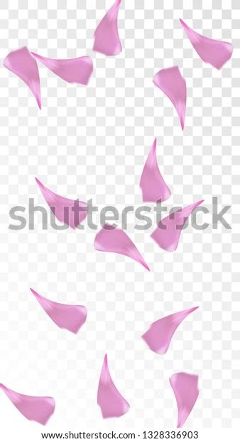 Red Rose Petals Falling Down Isolated Stock Vector (Royalty Free ...