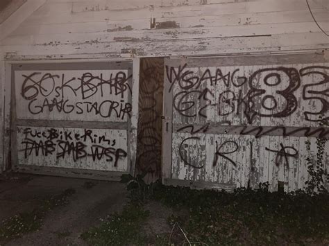 Detroit Gangs In 2024: A Community's Fight For Survival
