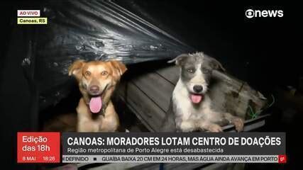 Animais são resgatados após enchentes em Canoas RS GloboNews Jornal