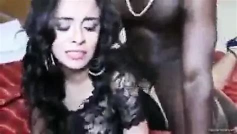 Free Black Hard Porn Videos XHamster