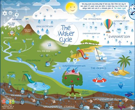 The Water Cycle Process The Water Cycle North Carolina Climate