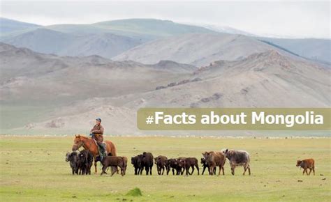 Mongolia Facts - Interesting Information about Mongolia