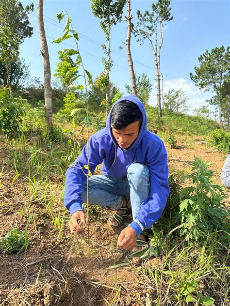 Election Commission Of India SVEEP On Twitter Voters Plant A Sapling