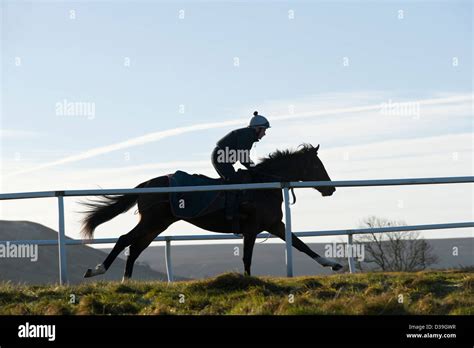 Race Horse Galloping Stock Photo Alamy