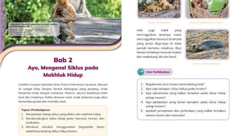 Kunci Jawaban Ipas Kelas 3 Halaman 43 Kurikulum Merdeka Bab 2 Mari