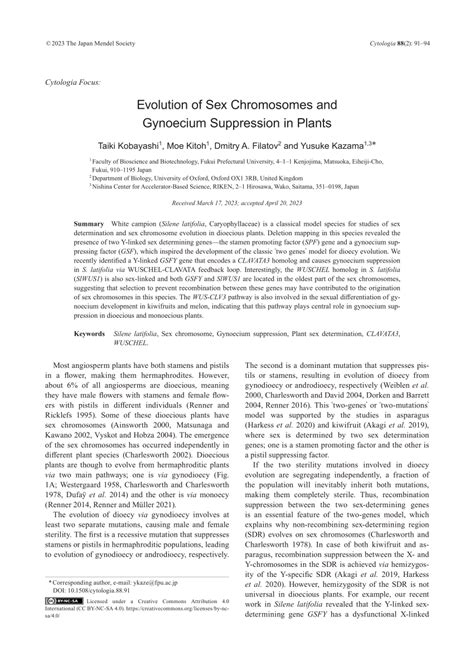 PDF Evolution Of Sex Chromosomes And Gynoecium Suppression In Plants